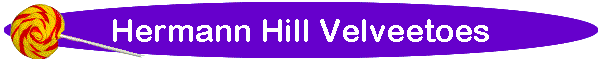 Hermann Hill Velveetoes